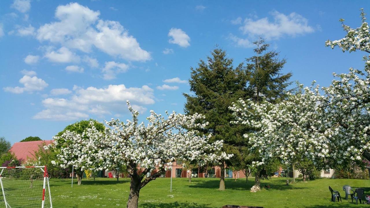 Landferienhof "Mueritzufer" Ludorf Luaran gambar