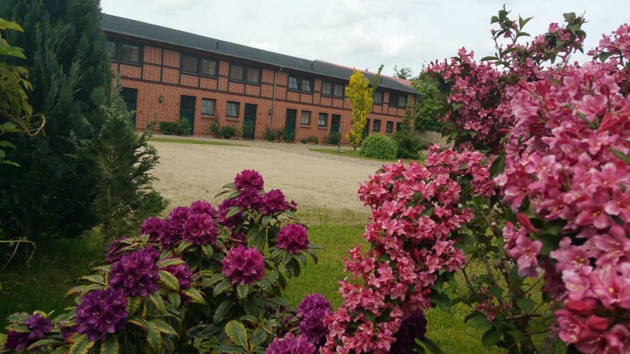 Landferienhof "Mueritzufer" Ludorf Luaran gambar